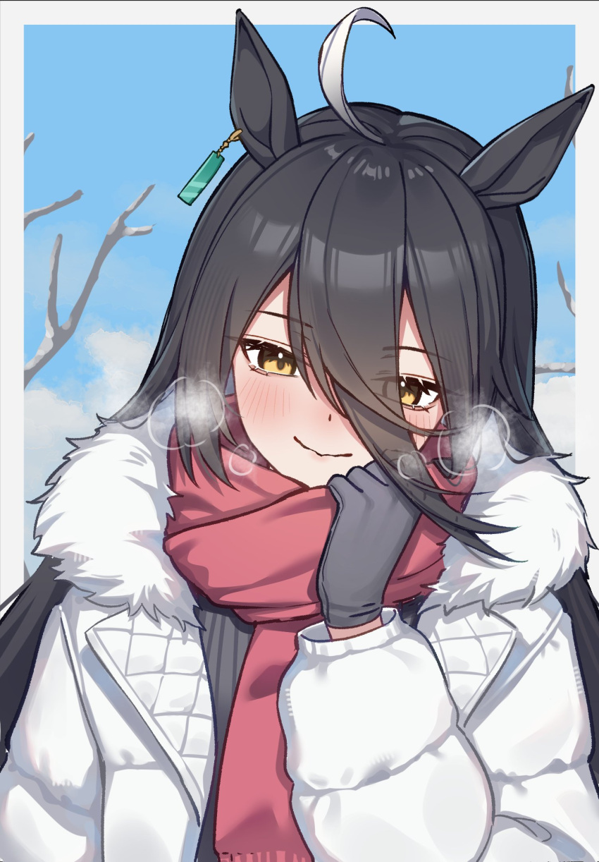 1girl, adjusting_scarf, ahoge, alternate_costume, animal_ears, bare_tree, black_gloves, black_hair