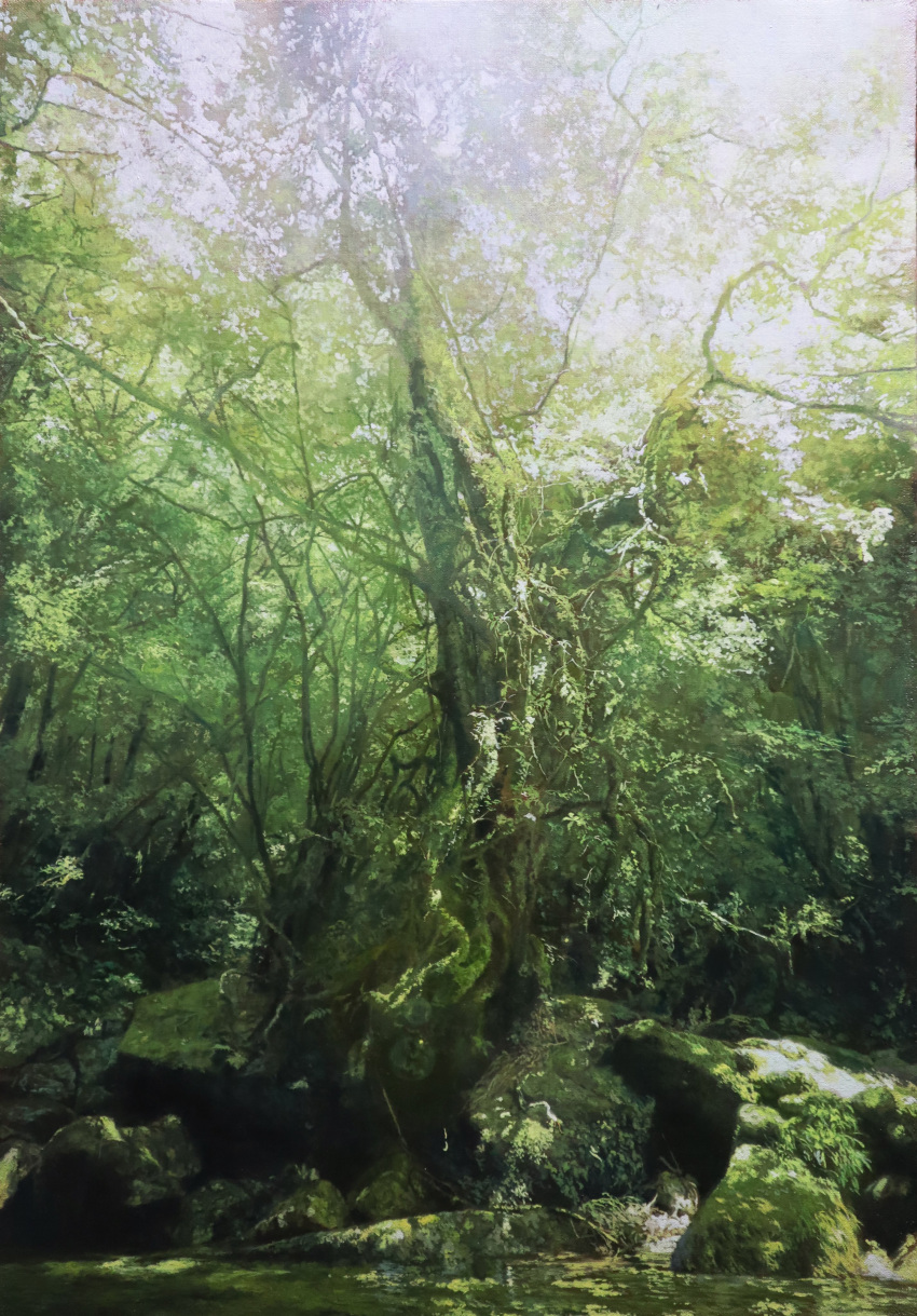 absurdres, forest, hashtag-only_commentary, highres, hill, naohiro_ito, nature, no_humans