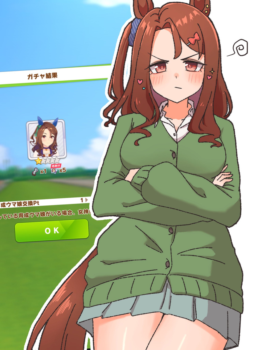 1girl, animal_ears, blue_skirt, brown_hair, commentary_request, crossed_arms, echieichi, green_shirt