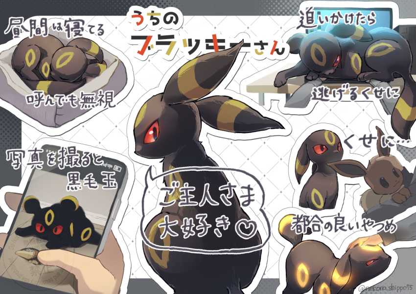 animal_focus, cat_on_keyboard, cellphone, commentary_request, eevee, holding, holding_phone, multiple_views