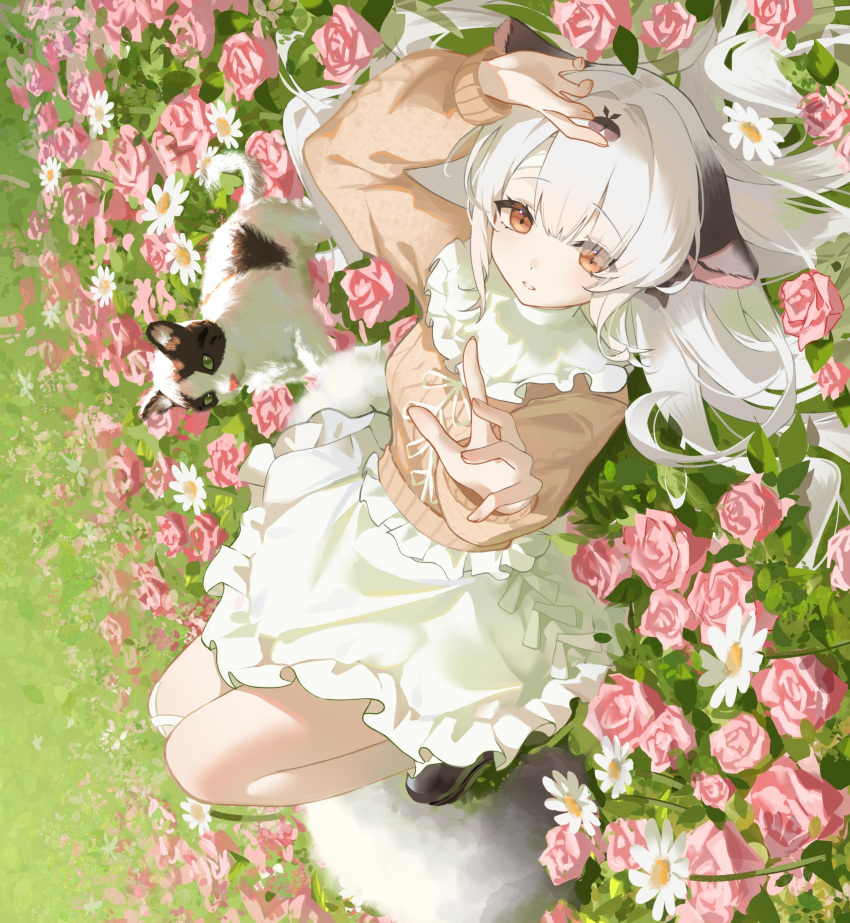 absurdres, animal_ears, azur_lane, bandaged_head, bandages, brown_sweater, cat, commentary_request