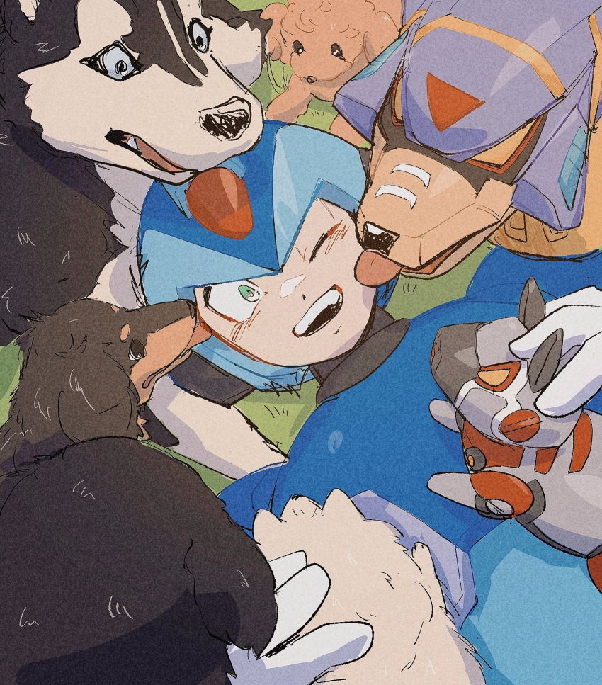 1boy, armor, blue_armor, blue_helmet, dog, forehead_jewel, green_eyes, group_picture