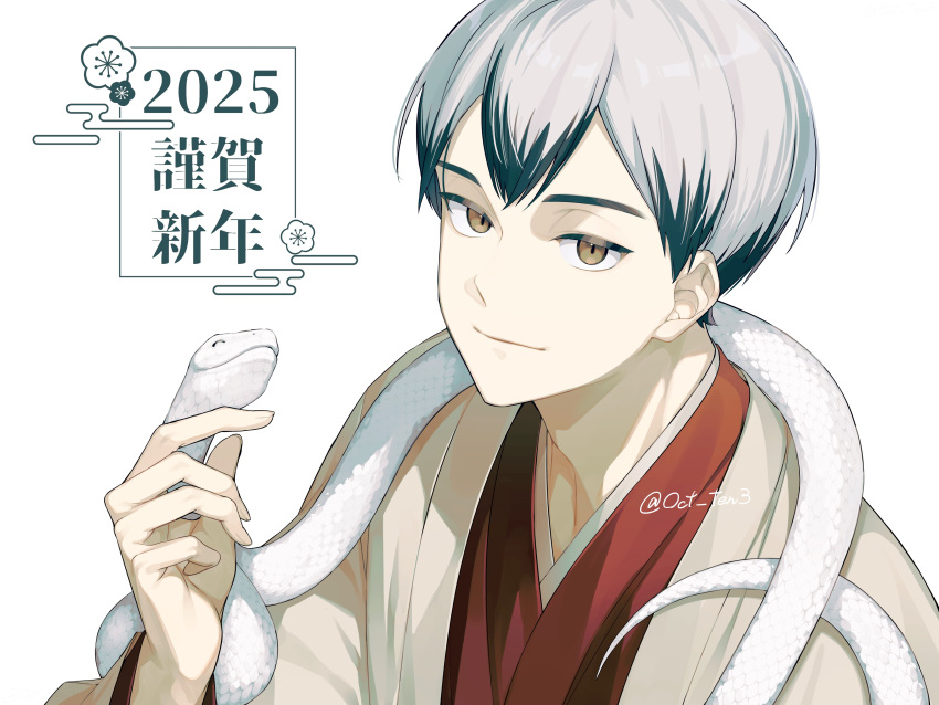 1boy, 2025, absurdres, black_hair, black_streaks, brown_eyes, closed_mouth, egasumi