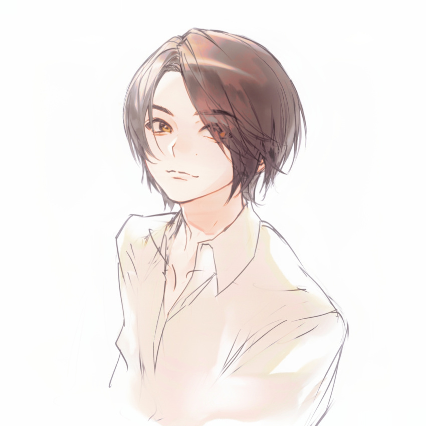 1boy, brown_eyes, brown_hair, closed_mouth, collared_shirt, cropped_torso, eyes_visible_through_hair, hair_over_one_eye