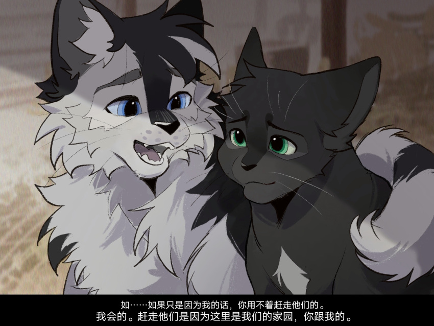 :3, animal, animal_focus, barley_(warrior_cats), black_cat, cat, chinese_commentary, chinese_text