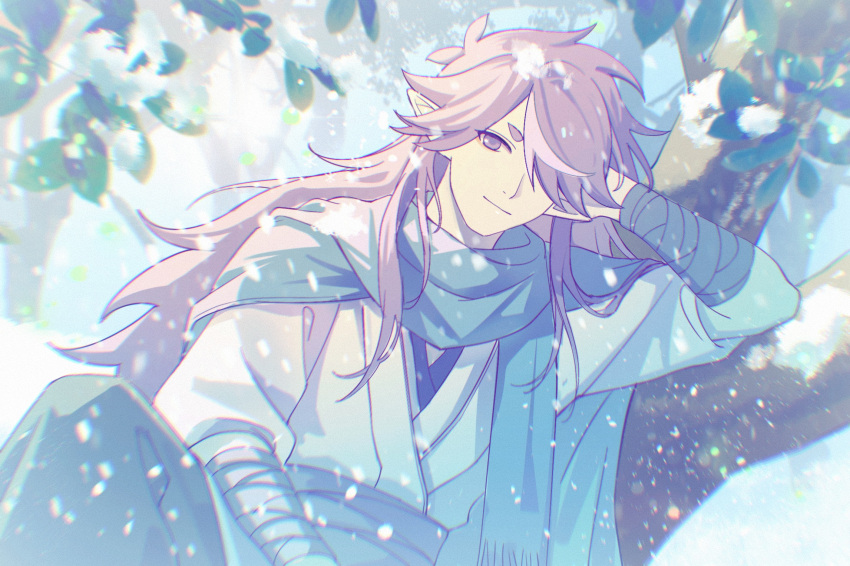 1boy, awsj7858, commentary_request, fengxi_(the_legend_of_luo_xiaohei), hair_over_one_eye, head_rest, highres, leaf, long_hair, looking_at_viewer, male_focus, pointy_ears, purple_hair, smile, snow, snowing, solo, the_legend_of_luo_xiaohei, tree, upper_body, violet_eyes, winter, winter_clothes