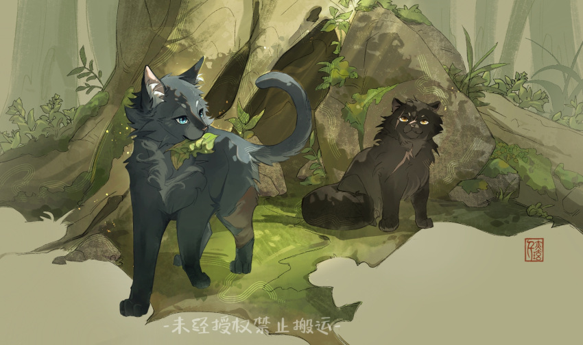 animal, animal_focus, blue_eyes, cat, chinese_commentary, chinese_text, cinderpelt, commentary_request