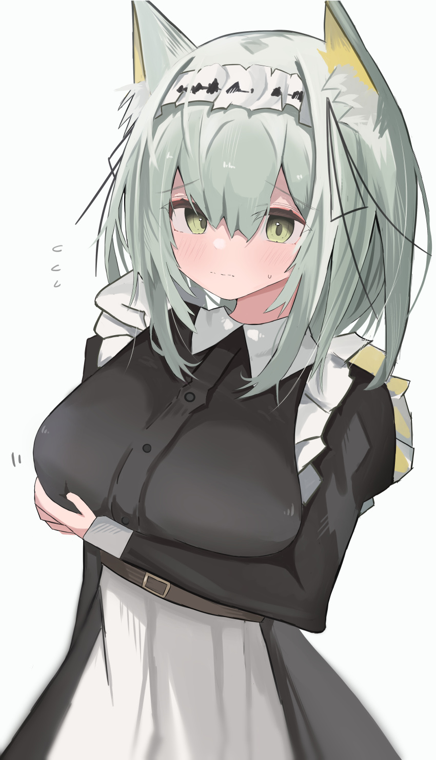1girl, :|, absurdres, animal_ear_fluff, animal_ears, arknights, black_dress, breasts