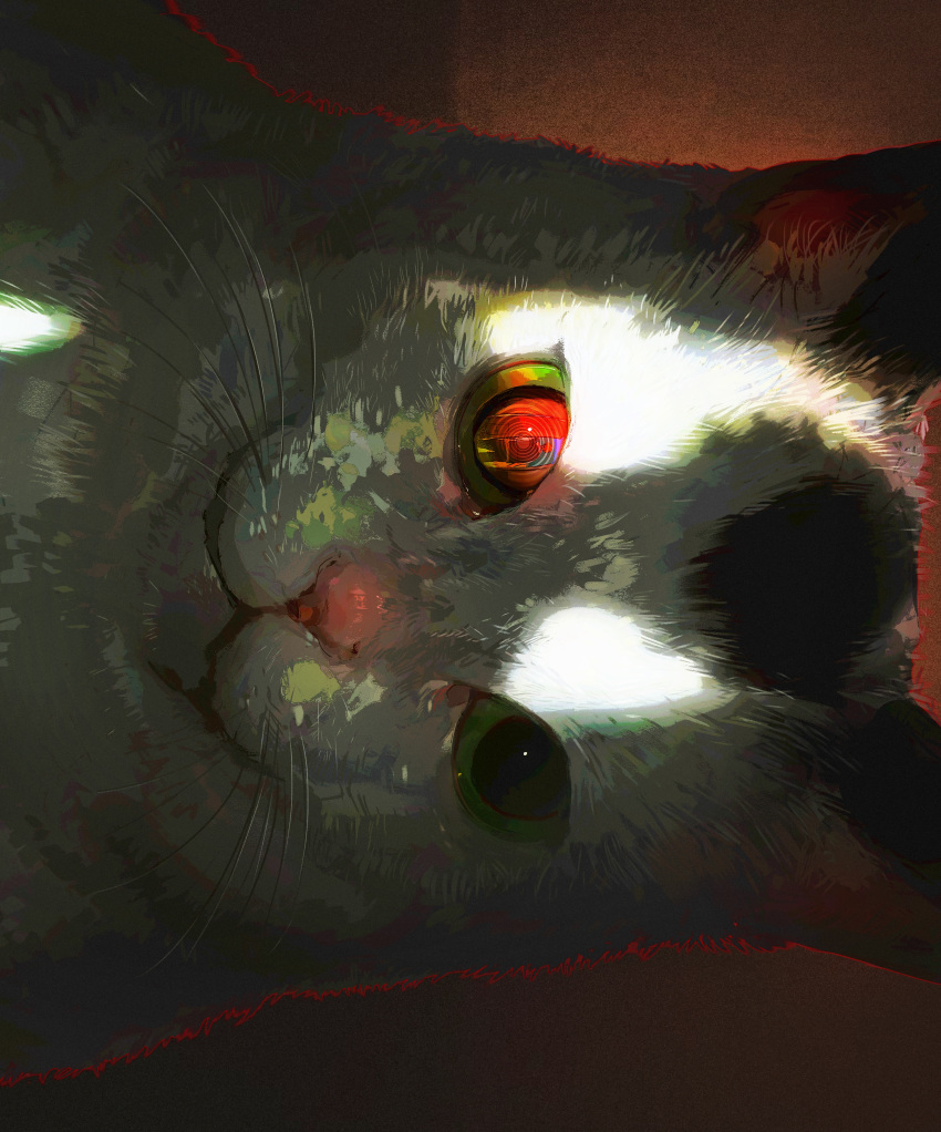 absurdres, animal, animal_focus, carl_4, cat, chainsaw_man, commentary, highres, looking_at_viewer, meowy_(chainsaw_man), no_humans, ringed_eyes, sideways, straight-on, sunlight, symbol-only_commentary, whiskers, white_fur