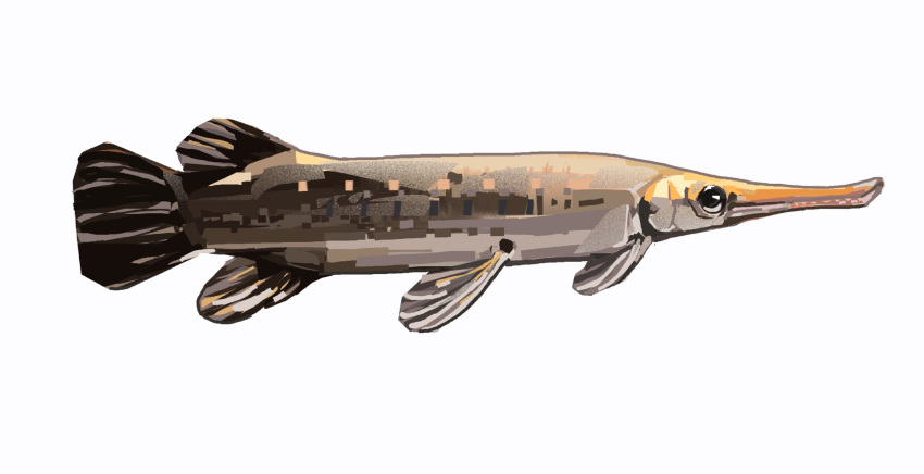 animal_focus, commentary, english_commentary, fish, from_side, gar_(fish), highres, junbuug