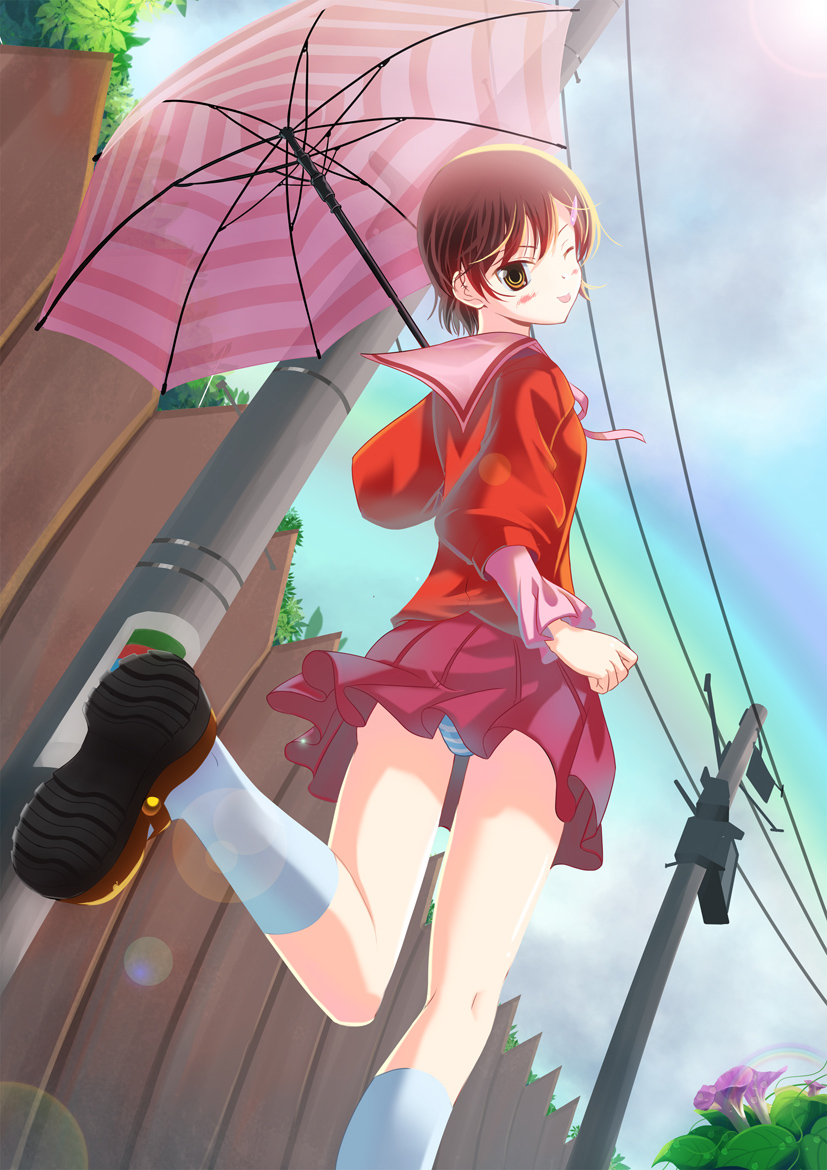 blue_panties, brown_eyes, brown_hair, cable, fence, flower, from_above, from_below