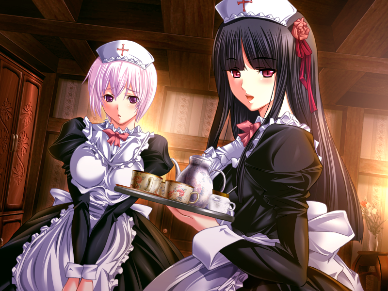 2girls, :d, apron, black_dress, black_hair, blush, breasts, cup, dress, dutch_angle, game_cg, hilda_(toriko_no_hime), holding, holding_tray, large_breasts, long_hair, lydia_(toriko_no_hime), m&amp;m_(mickey_and_mackey), maid, maid_apron, multiple_girls, open_mouth, own_hands_together, pink_hair, red_eyes, short_hair, smile, tea, teacup, toriko_no_hime, tray, violet_eyes