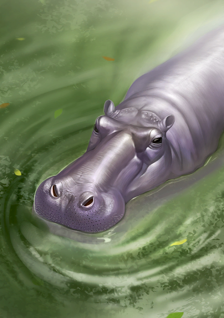 animal, animal_focus, black_eyes, colored_skin, green_water, grey_skin, hippopotamus, hippopotamus_gorgops