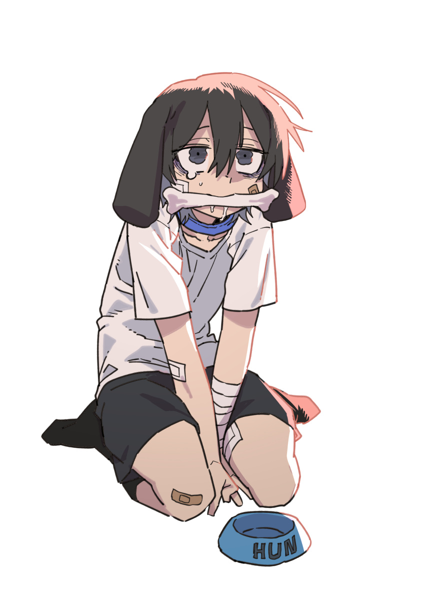 1boy, absurdres, animal_ears, bandaid, bandaid_on_face, bandaid_on_knee, bandaid_on_leg, black_eyes