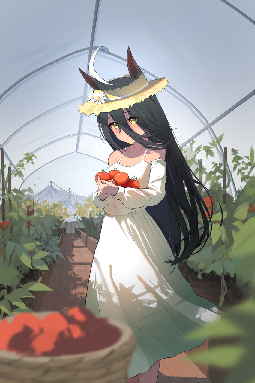 1girl, absurdres, ahoge, animal_ears, bare_shoulders, basket, black_hair, blush