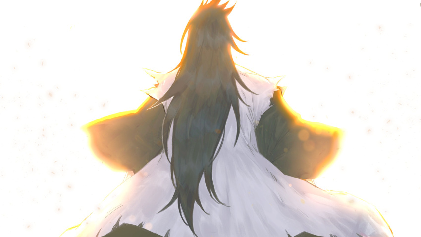 1boy, anima_tion_1, backlighting, bleach, bleach:_sennen_kessen-hen, commentary, cowboy_shot, from_behind