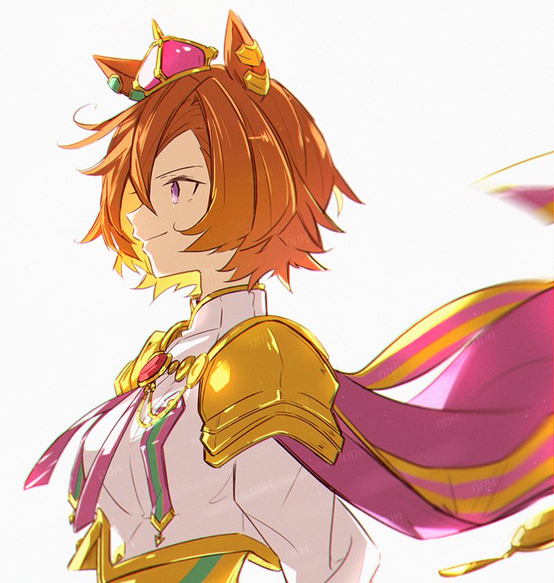 1girl, animal_ears, armor, breasts, cape, closed_mouth, cropped_torso, crown