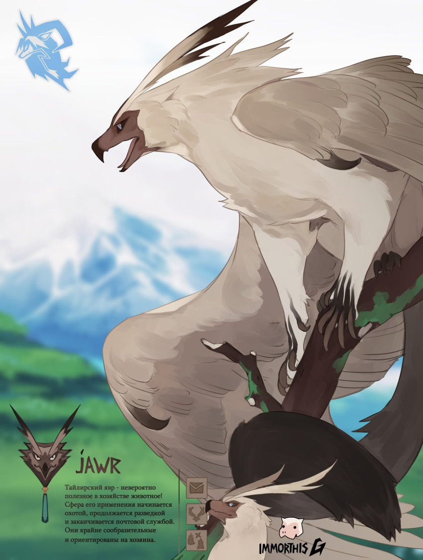 bird, claws, concept_art, dragon, eagle, feathered_wings, feathers, highres