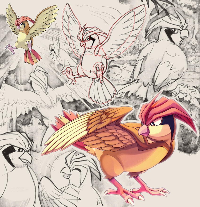 beak, bird, bright_pupils, brown_eyes, feathers, flying, grass, highres, pidgeot, pidgeotto, pidgey, pigeon, pokemon, pokemon_(creature), pokemon_rgby, shoupitsuki, sketch, standing, talons, white_pupils, wings