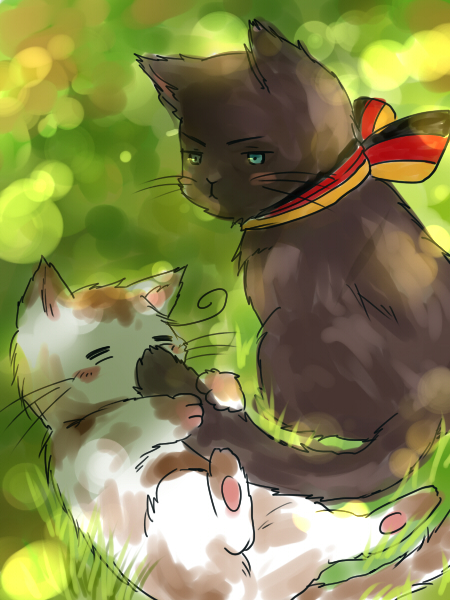 animal, animalization, axis_powers_hetalia, black_cat, black_cat_(animal), blue_eyes, blush, blush_stickers, cat, cat_focus, closed_eyes, eyes_closed, flag_print, german_flag, germany_(hetalia), germany_(nekotalia), grass, lowres, lying, male, no_humans, northern_italy_(hetalia), northern_italy_(nekotalia), on_back, ribbon, sitting, tail, whiskers