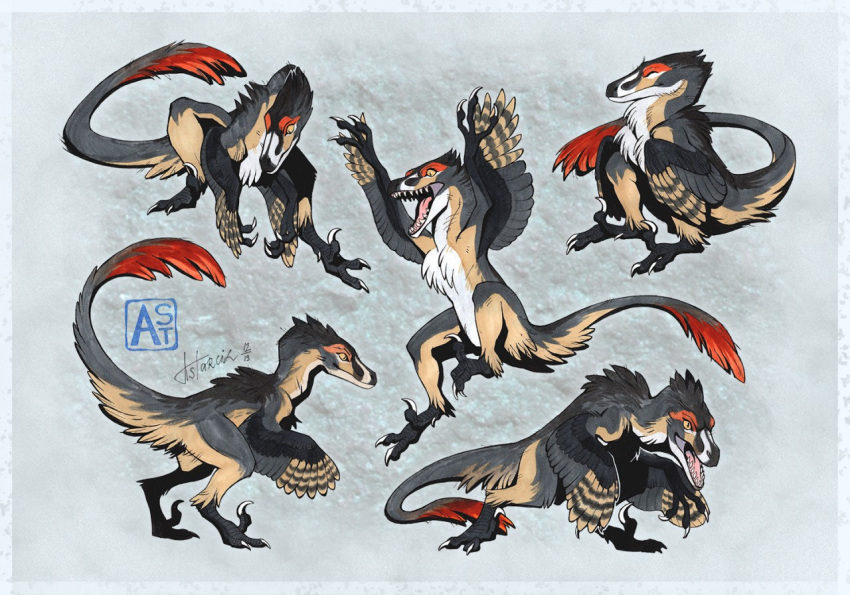 animal_focus, artist_name, astarcis, claws, closed_mouth, dinosaur, dynamic_pose, fangs, feathered_dinosaur, feathers, full_body, multiple_views, no_humans, open_mouth, original, raptor, reference_sheet, sharp_teeth, simple_background, tail, teeth, utahraptor, velociraptor, watermark