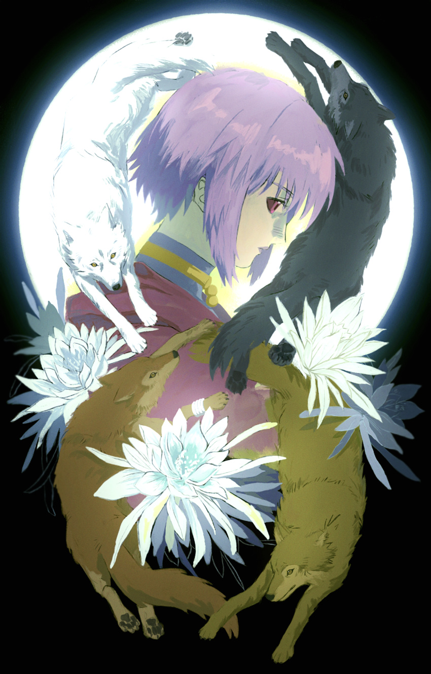 1girl, absurdres, black_sclera, cheza_(wolf's_rain), closed_mouth, colored_sclera, flower, from_side, full_moon, grey_wolf, hige_(wolf's_rain), highres, kiba_(wolf's_rain), mauvh, moon, moon_behind_head, purple_hair, red_eyes, short_hair, toboe_(wolf's_rain), tsume_(wolf's_rain), white_flower, white_wolf, wolf's_rain