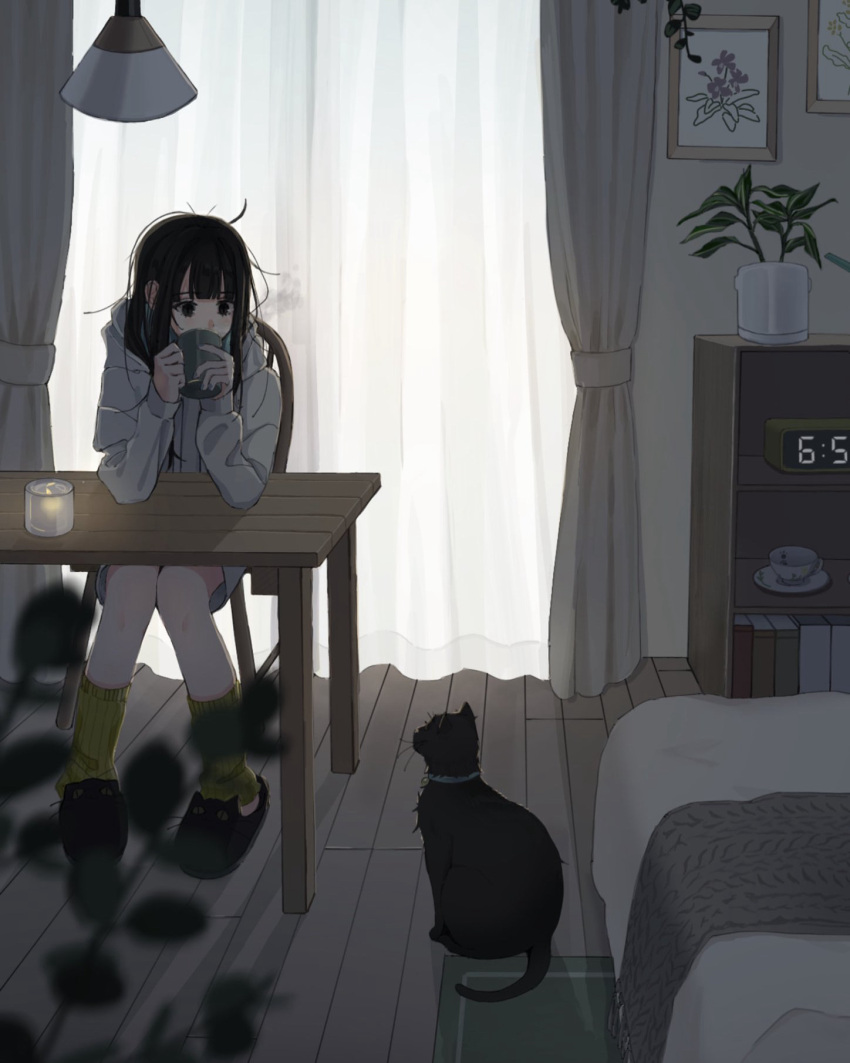 1girl, animal_slippers, backlighting, black_cat, black_eyes, black_hair, black_slippers, blurry