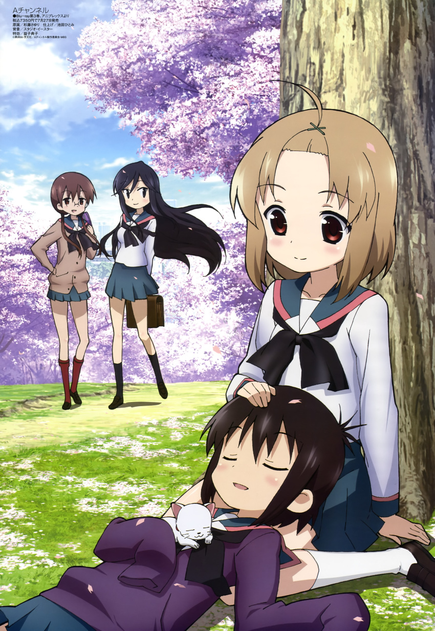 a_channel, absurdres, ahoge, black_hair, brown_eyes, brown_hair, cat, closed_eyes
