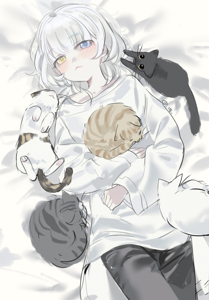 1girl, :<, animal, bang_dream!, bang_dream!_it's_mygo!!!!!, black_cat, black_pants, blue_eyes