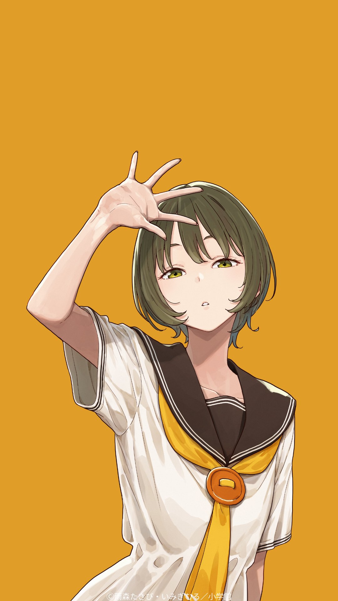 1girl, brown_sailor_collar, brown_serafuku, collarbone, commentary, cover, cover_page, dress