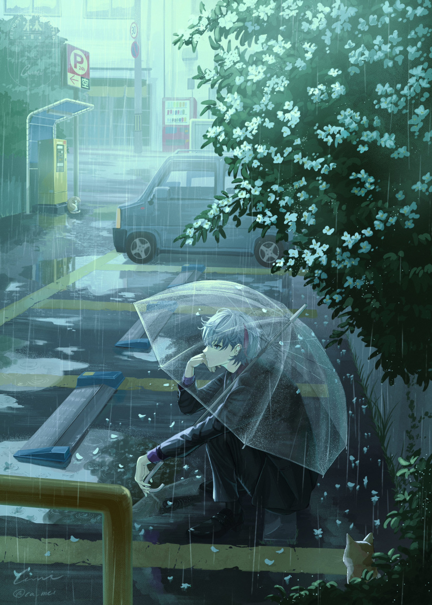 1boy, absurdres, black_jacket, black_pants, bush, ca_mei, falling_petals, flower