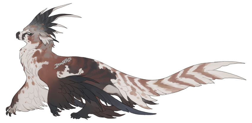 animal_ears, anime_coloring, beak, claws, creature, fantasy, feathered_arms, feathers