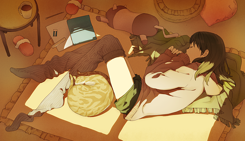 brown_hair, cat, closed_eyes, conronca, cup, cushion, eraser, eyes_closed, fetal_position, from_above, hoodie, light, loose_thighhigh, lying, mug, on_floor, on_side, original, ruler, shade, shorts, sleeping, slippers, solo, thigh-highs, thighhigh_dangle, thighhighs, window_shade, window_shadow