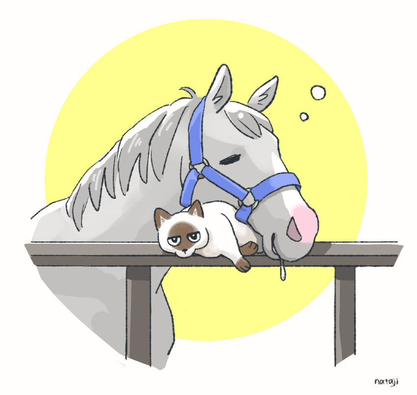 animal, animal_focus, black_eyes, bridle, bubble, cat, closed_eyes, commentary