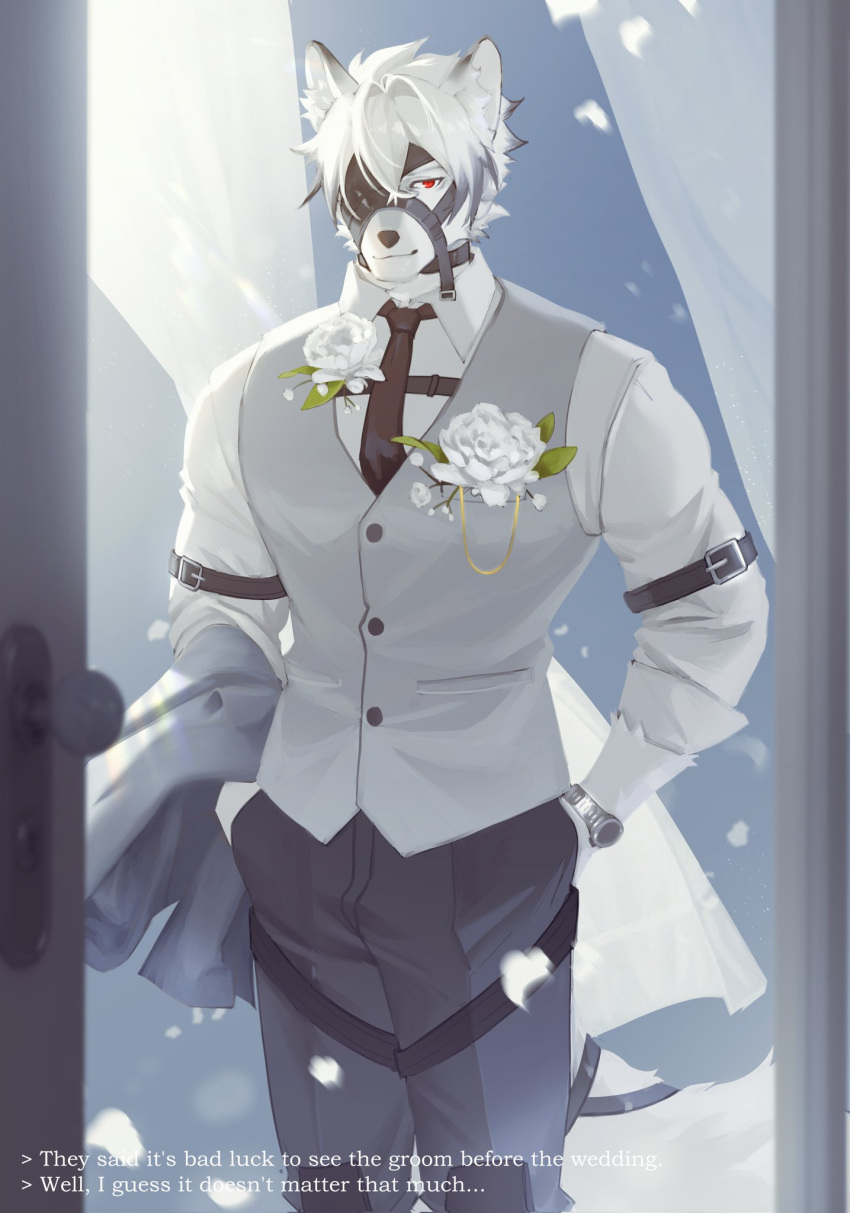 1boy, alternate_costume, animal_ear_fluff, animal_ears, bicep_strap, black_necktie, black_pants, body_fur, boutonniere, closed_mouth, colored_tips, commentary, cowboy_shot, english_commentary, english_text, flower, furry, furry_male, grey_vest, hand_in_pocket, highres, looking_at_viewer, male_focus, multicolored_hair, muzzle_(mask), necktie, octo_poosi, pants, red_eyes, shirt, short_hair, solo, tail, tail_belt, vest, von_lycaon, watch, white_flower, white_fur, white_hair, white_shirt, wolf_boy, wolf_ears, wolf_tail, zenless_zone_zero