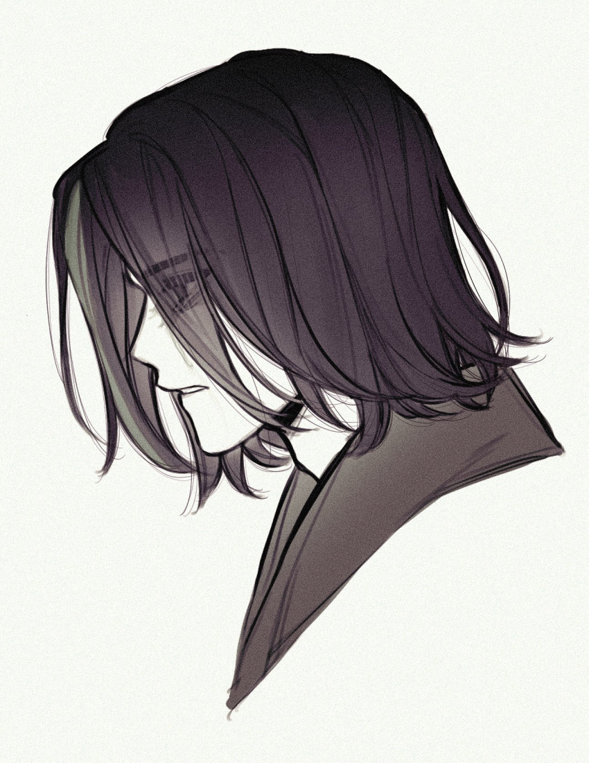 1boy, animification, bags_under_eyes, black_hair, cropped_shoulders, crying, eyes_visible_through_hair, film_grain, from_side, gmlth1249, green_streaks, highres, male_focus, morro, multicolored_hair, ninjago, parted_lips, portrait, profile, short_hair, simple_background, solo, streaked_hair, white_background