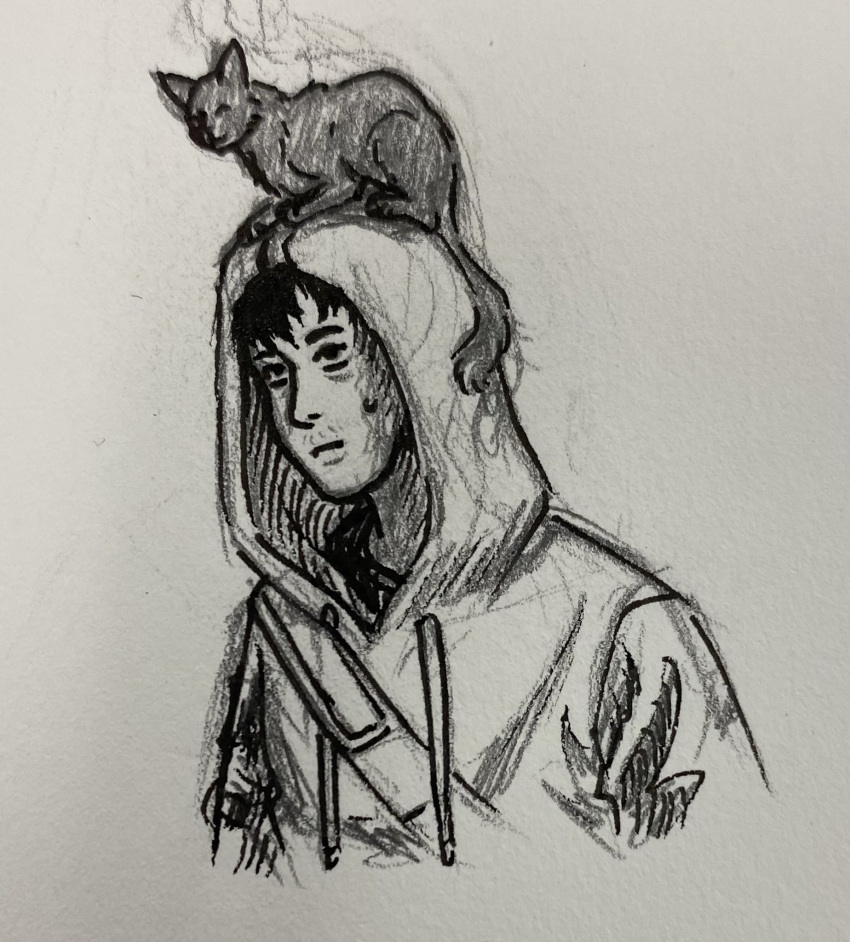 1boy, animal_on_head, bags_under_eyes, beard_stubble, cat, cat_on_head, commentary, cry_of_fear