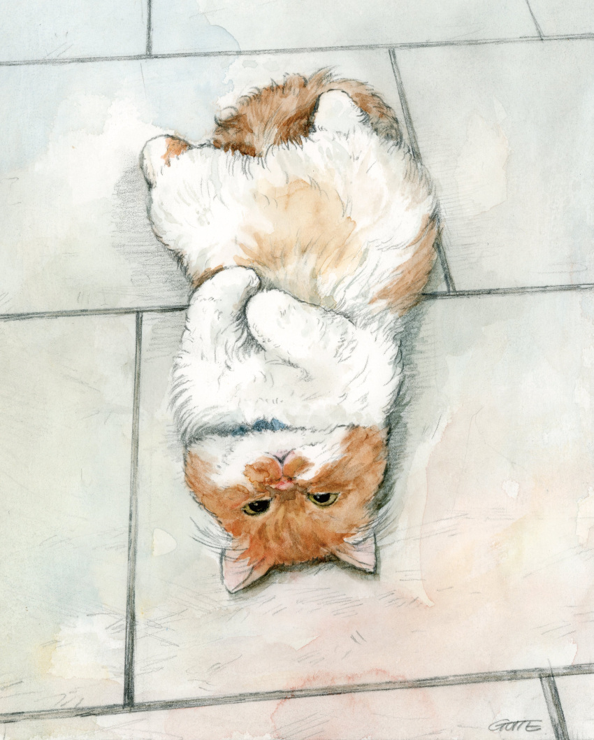 absurdres, animal, animal_focus, artist_name, cat, commentary_request, gotte, highres, looking_at_viewer, no_humans, original