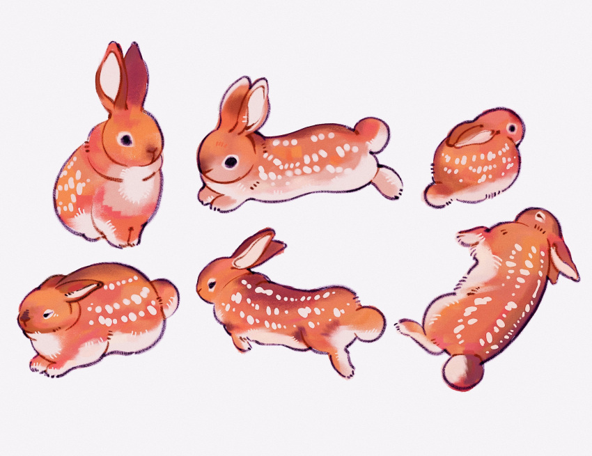 animal, animal_focus, brown_rabbit, highres, meyoco, no_humans, original, rabbit