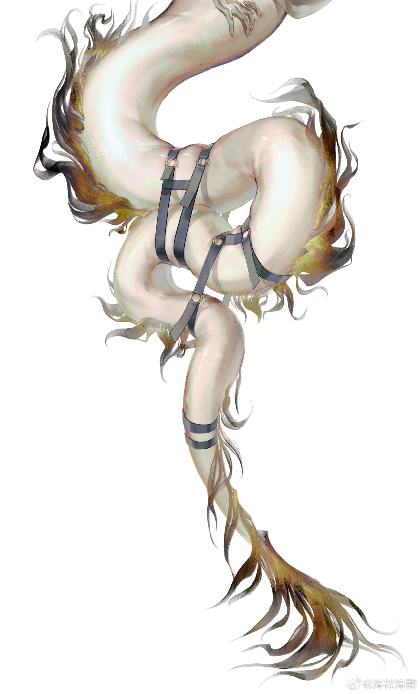 absurdres, arknights, chinese_commentary, commentary_request, erhai22959385, hand_on_own_tail, highres, o-ring