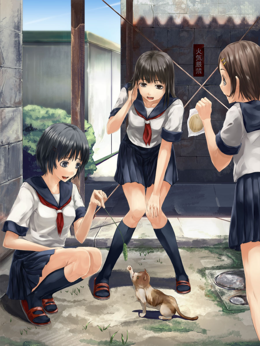 black_hair, brown_hair, cat, hair_ornament, hairclip, highres, legs, long_hair, multiple_girls, original, school_uniform, schoolgirl, serafuku, shacchi, short_hair, squatting, thigh_gap