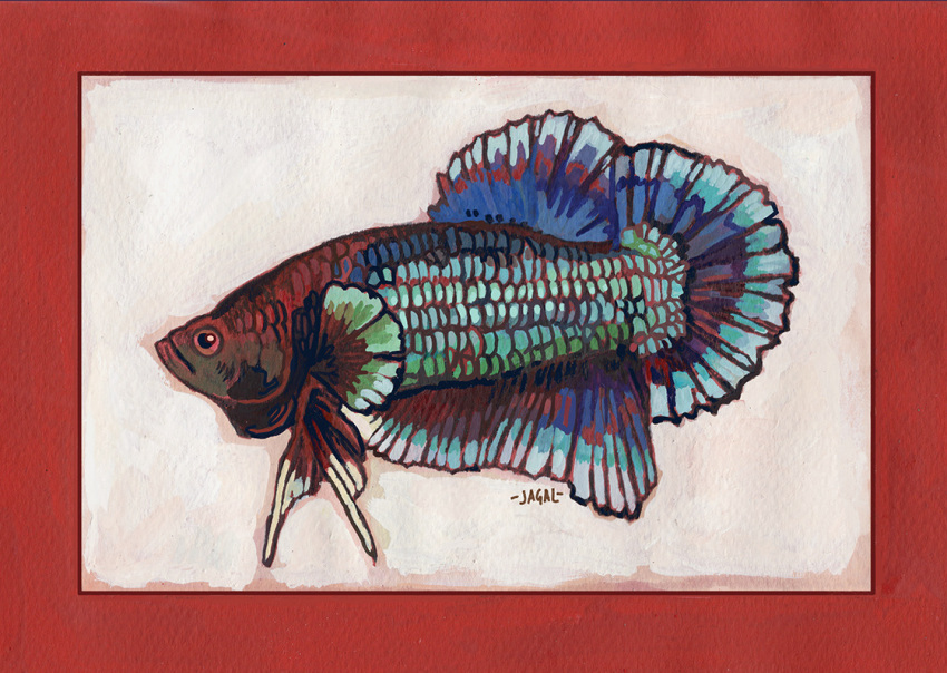 animal, animal_focus, border, fish, from_side, full_body, jagalart, no_humans