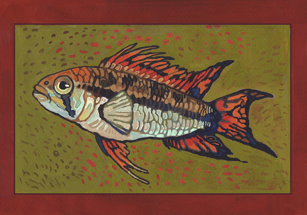 animal, animal_focus, cichilid_(fish), fish, from_side, full_body, jagalart, no_humans, original, painterly, simple_background