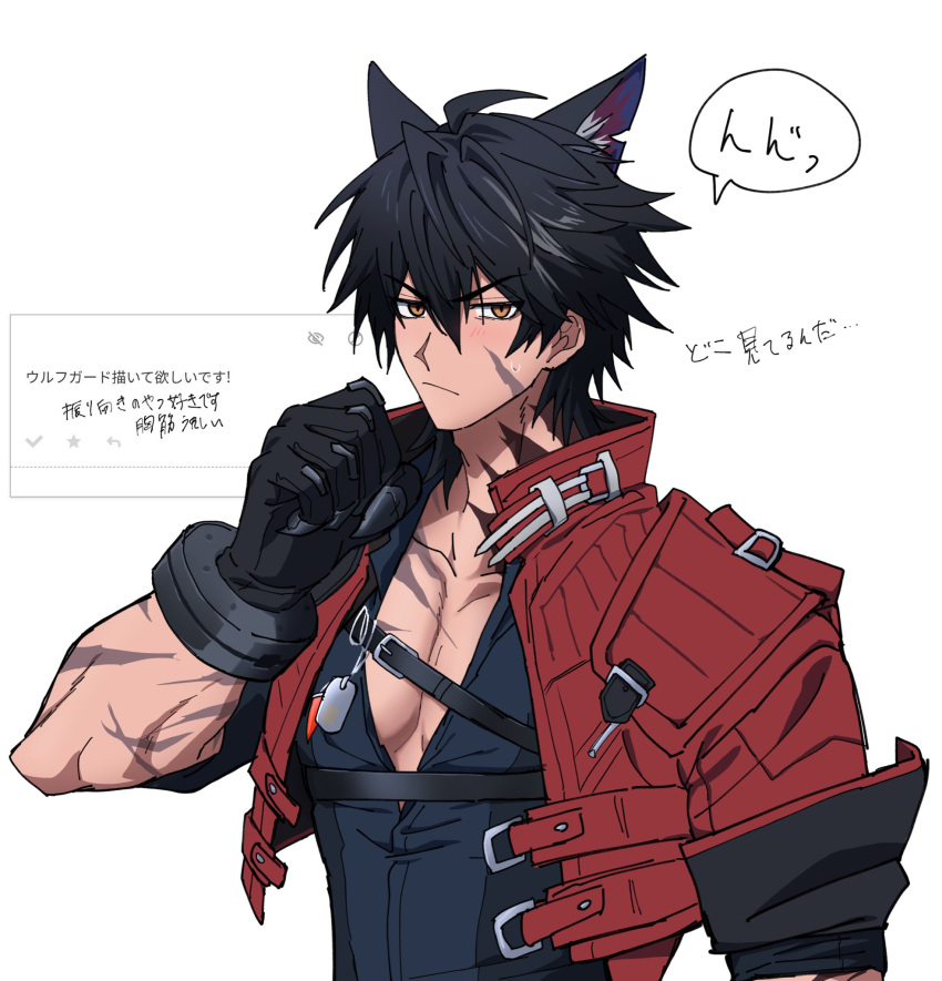 1boy, animal_ears, arknights, arknights:_endfield, belt, black_belt, black_gloves, black_hair, blush, brown_eyes, chest_belt, commentary_request, cropped_jacket, gloves, hair_between_eyes, highres, jacket, looking_at_viewer, male_focus, ohuton_ikiru, pectoral_cleavage, pectorals, red_jacket, scar, scar_on_cheek, scar_on_chest, scar_on_face, simple_background, solo, sweatdrop, tail, upper_body, white_background, wolf_boy, wolf_ears, wulfgard_(arknights)