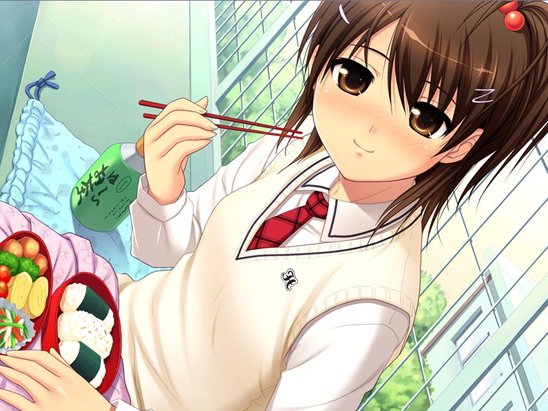 1girl, bento, bishoujo_(game), blush, brown_eyes, brown_hair, chopsticks, dutch_angle