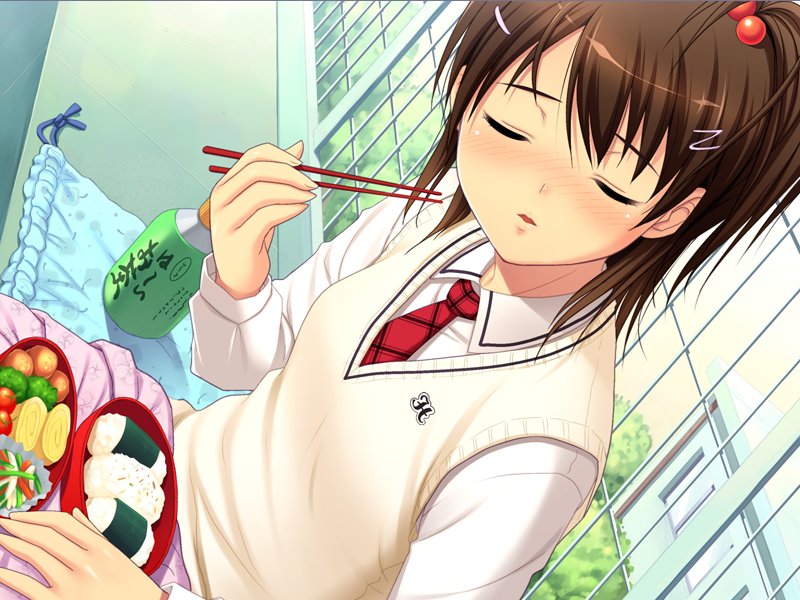 1girl, bento, bishoujo_(game), blush, brown_hair, chopsticks, closed_eyes, dutch_angle