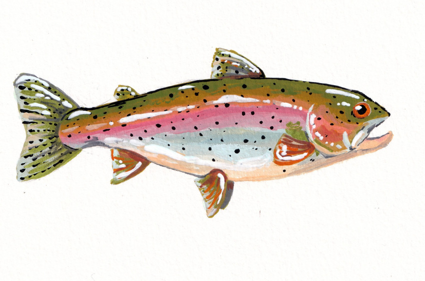 animal_focus, commentary, english_commentary, fish, from_side, full_body, gouache_(medium), highres