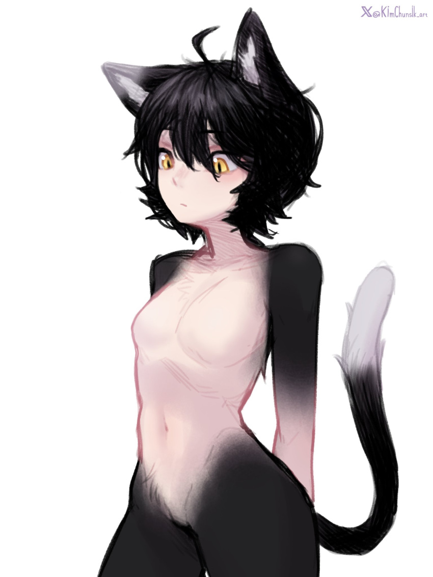 1girl, ahoge, animal_ear_fluff, animal_ears, artist_name, black_hair, breasts, cat_ears, cat_girl, cat_tail, commentary, cowboy_shot, dungeon_meshi, english_commentary, highres, izutsumi, kimchunsik, navel, nude, red_scarf, scarf, short_hair, simple_background, slit_pupils, small_breasts, solo, tail, twitter_username, white_background, yellow_eyes