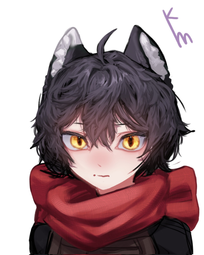 1girl, ahoge, animal_ear_fluff, animal_ears, artist_name, black_hair, cat_ears, cat_girl, cat_tail, commentary, dungeon_meshi, english_commentary, hair_between_eyes, highres, izutsumi, kimchunsik, portrait, red_scarf, scarf, short_hair, simple_background, slit_pupils, solo, tail, white_background, yellow_eyes