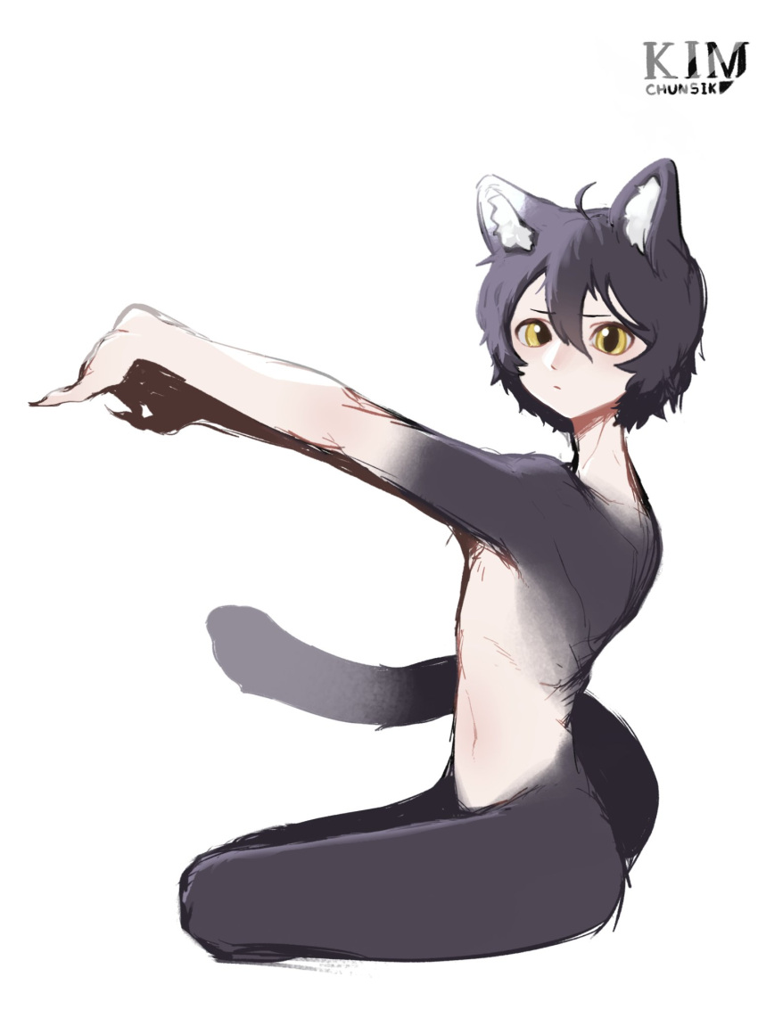 1girl, ahoge, animal_ear_fluff, animal_ears, artist_name, black_hair, cat_ears, cat_girl, cat_tail, completely_nude, dungeon_meshi, full_body, highres, izutsumi, kimchunsik, nude, red_scarf, scarf, short_hair, simple_background, sitting, slit_pupils, solo, tail, white_background, yellow_eyes